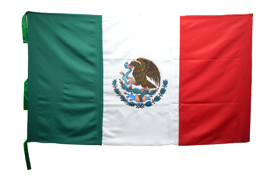 Bandera de México kinder pintada
