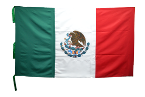 Bandera de México reglamentaria pintada