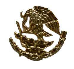 Pin escudo nacional