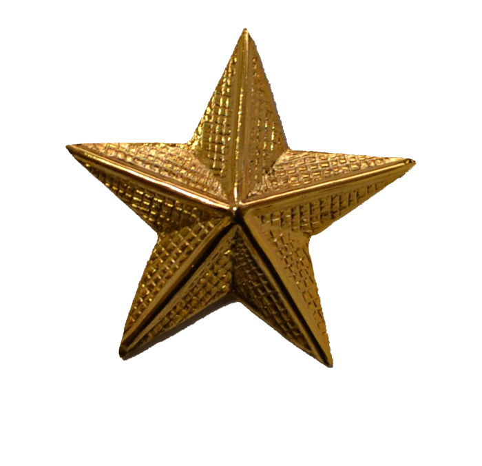 Pin Estrella de 5 picos dorada